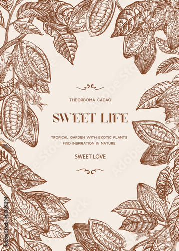 Card with cocoa plant. Fruits, leaves on branches. Vector botanical illustration. Gravure style.