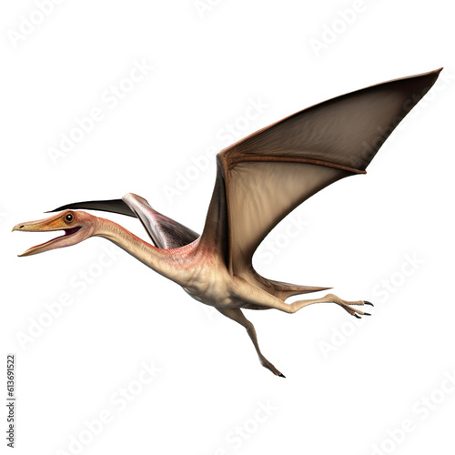Papier peint Pteranodon, Pterodactylus dinosaur on transparent background Generative AI