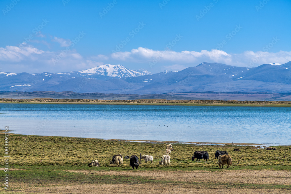Gurla Mandhata and Lake Manasarovar in Pulan county 
 Ngari Prefecture Tibet Autonomous Region, China.