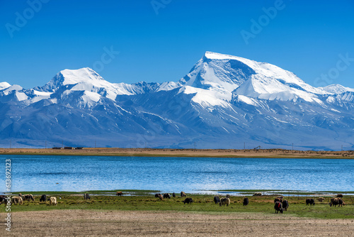 Gurla Mandhata and Lake Manasarovar in Pulan county 
 Ngari Prefecture Tibet Autonomous Region, China. photo