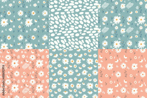 Vector illustration. Seamless pattern with chamomile petals and twigs. Big set of flowers.