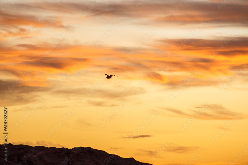 Sunrise on Arpoador Stone in Rio de Janeiro, Brazil. Sunrise on Arpoador Stone in Rio de Janeiro, Brazil.