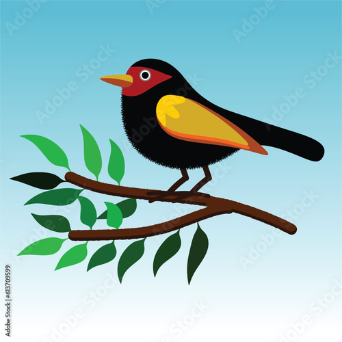 Tropical bird on a tree branch. Vector illustration.