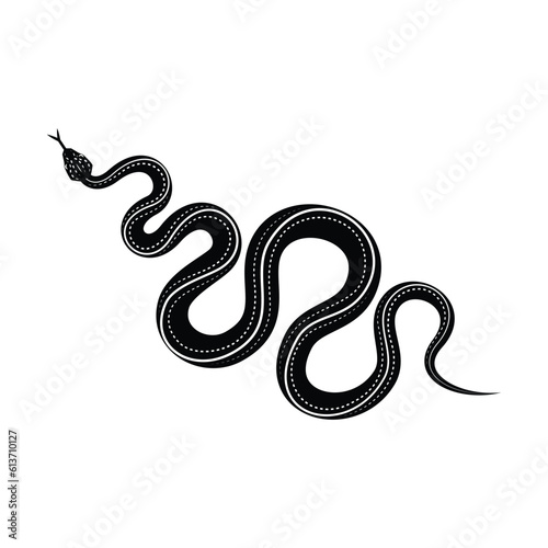 Snake design over white  background, vector illustration   graphic