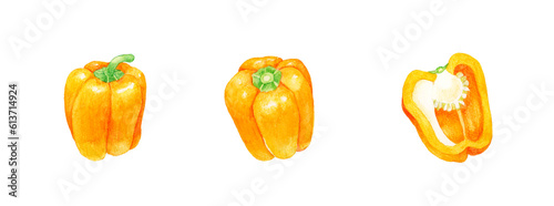 オレンジ色のパプリカのセット 夏野菜の手描き水彩イラスト素材集