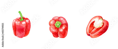 赤色のパプリカのセット　夏野菜の手描き水彩イラスト素材集