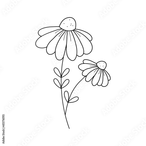 Abstract Simple Black White Flowers. Elements of decoration and design.