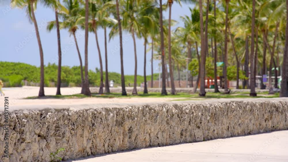 Coral wall Miami Ocean Drive outh Beach 4k prores Coral wall Miami Ocean Drive outh Beach 4k prores