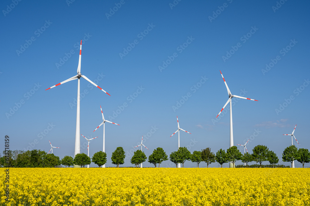 Wind turbines and a field of blooming rapeseed seen in Germany Wind turbines and a field of blooming rapeseed seen in Germany