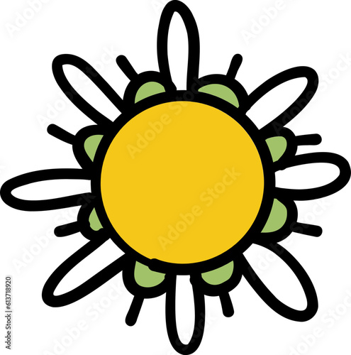 chamomile,illustration,set,design,floral,flower,icon,leaf,nature,vector,blossom,plant,spring,summer,daisy,graphic,lotus,ornament,ornate,rose,signs,silhouette,gardening,love,pride