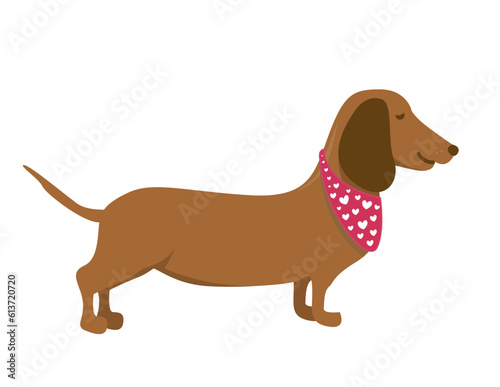 Cute dachshund dog icon design graphics svg