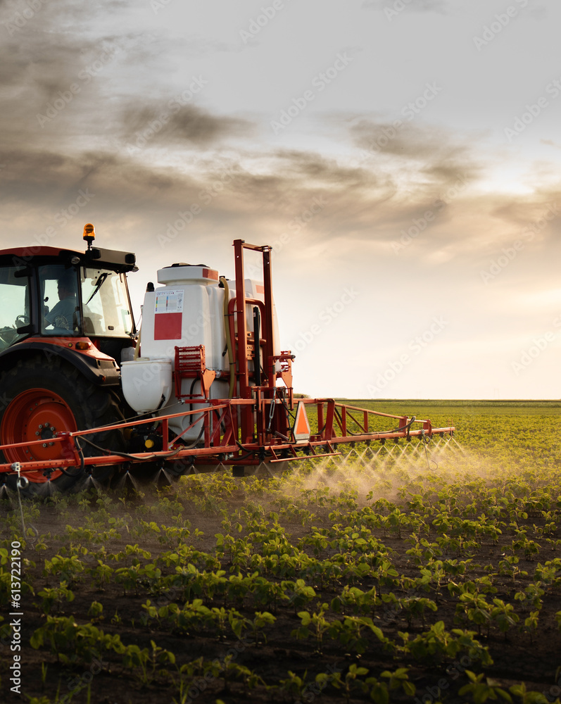 Fototapeta premium Tractor spraying soybean crops field