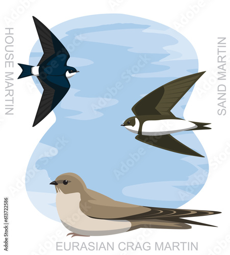 Cute Bird House Martin Swallow Set Cartoon Vector