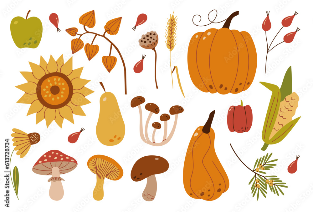 Autumn harvest set. Collection of ripe delicious vegetables, fresh fruits, berries, mushrooms, late flowers. Autumn harvest set. Collection of ripe delicious vegetables, fresh fruits, berries, mushrooms, late flowers.