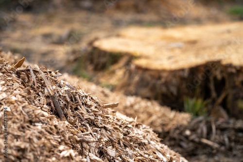 Wood Compost pile close up in a field on a farm  