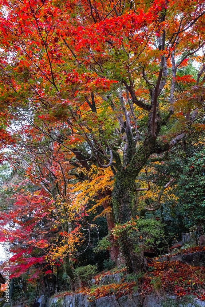 Dazaifu Tenmangu shrine dedicated to the spirit of Sugawara Michizane, a scholar and politician of the Heian Period Dazaifu Tenmangu shrine dedicated to the spirit of Sugawara Michizane, a scholar and politician of the Heian Period