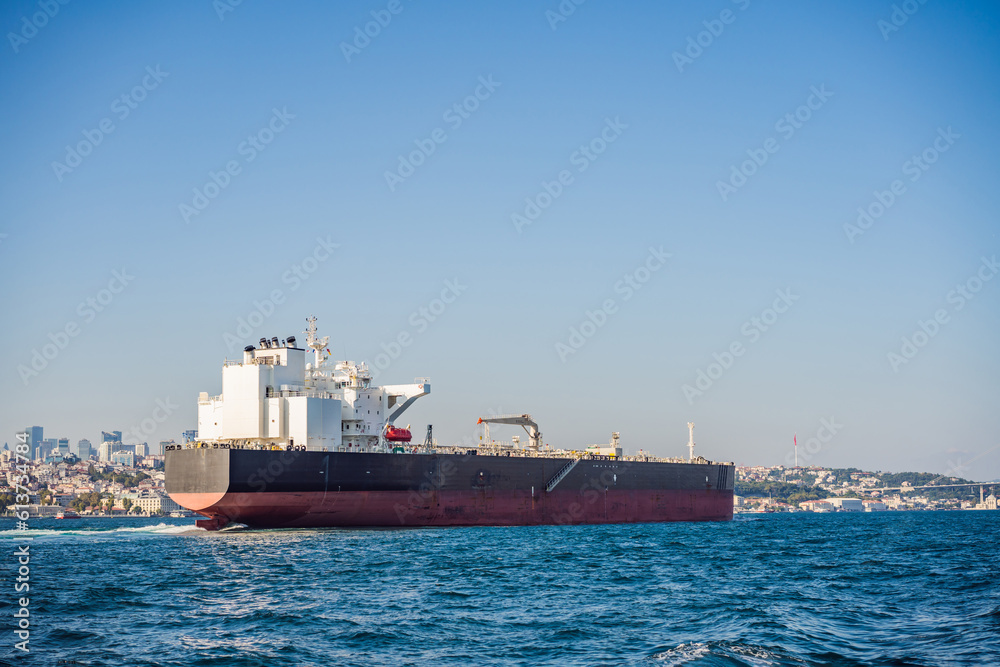 Container cargo ship in the Bosphorus, Istanbul, Turkey