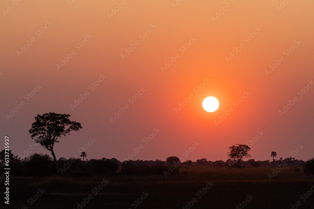 Wide angle shot of a beautiul sunset in the Okavango delta.