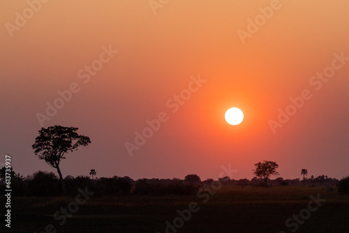 Wide angle shot of a beautiul sunset in the Okavango delta.