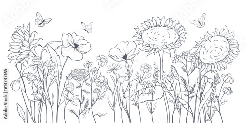 Sunflowers and wild flowers. Sketch in lines, freehand drawing. Vector illustration, summer background, flower meadow.