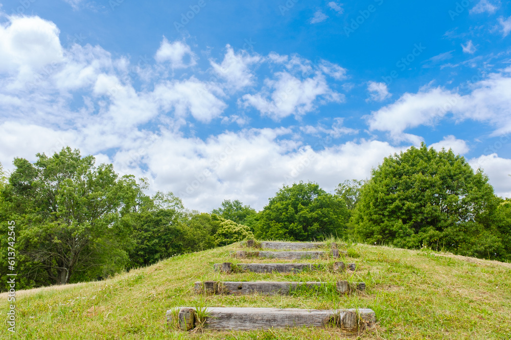 芝生の丘と木製の階段　馬見丘陵公園