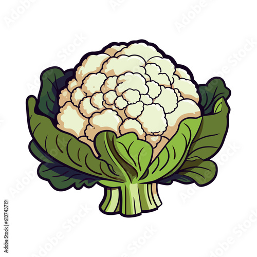 Fresh cauliflower vegetables, a healthy gourmet meal