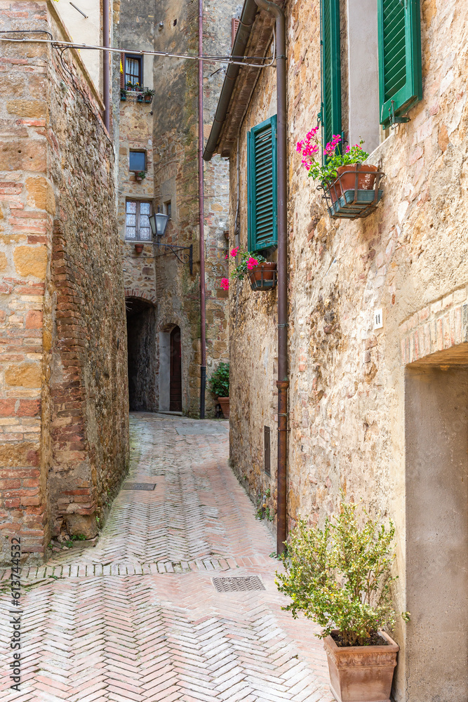 Narrow old alley to a backyard in an Italian village