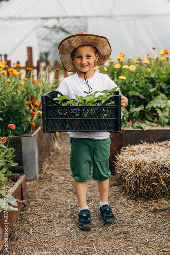 Fotografie Front view of a Caucasian boy carrying crate with plants in the garden