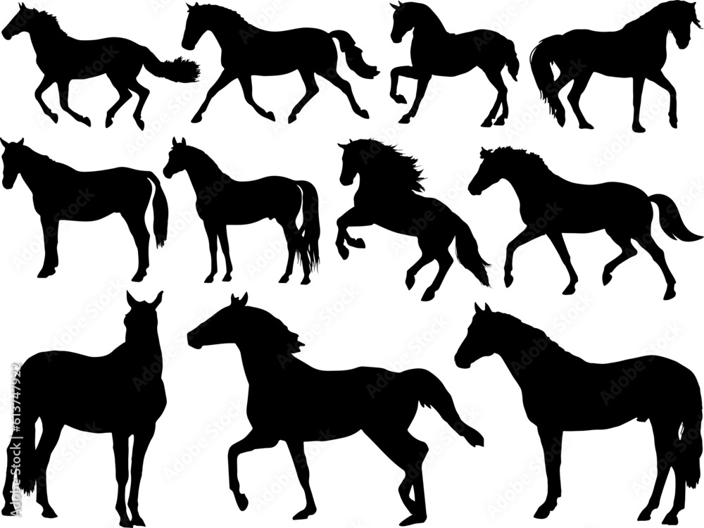 Set of Horses Silhouette