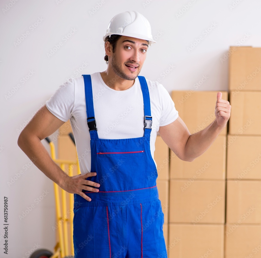 Young male professional mover doing home relocation Young male professional mover doing home relocation
