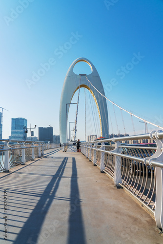 The Urban Skyline  Bridges  and Street Landscape of Guangzhou  China