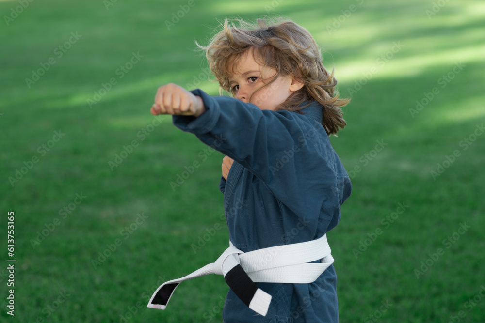 Kid boy practicing martial arts outdoor. Sport karate kids. Little boy