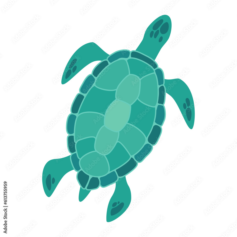 Vector illustration of a blue green sea turtle isolated on background ...