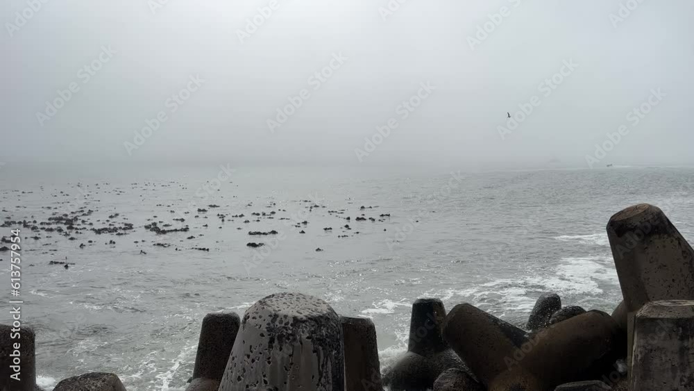 Dolosse on the shoreline with waves crashing against it and a misty sea with seaweed in the water Dolosse on the shoreline with waves crashing against it and a misty sea with seaweed in the water