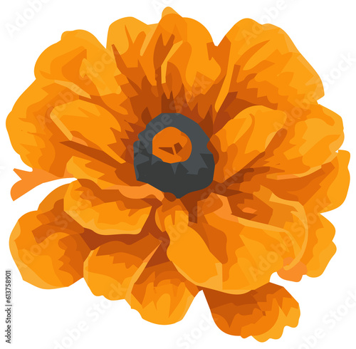 Orange yellow marigold flower watercolor