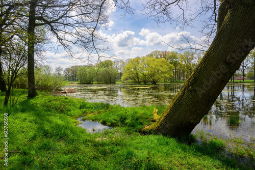 Photo of a large pond in the forest between the trees with blue sky and white clouds.