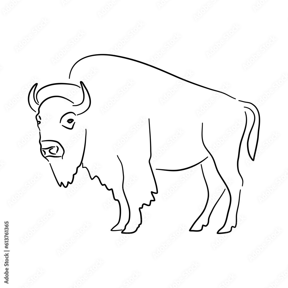 Bison illustration in hand drawn design. Vector. Bison illustration in hand drawn design. Vector.