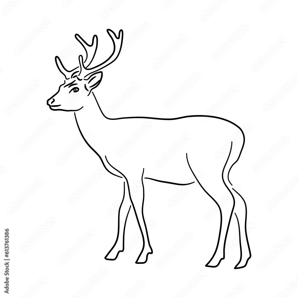 Obraz premium Deer illustration in hand drawn design. Vector.