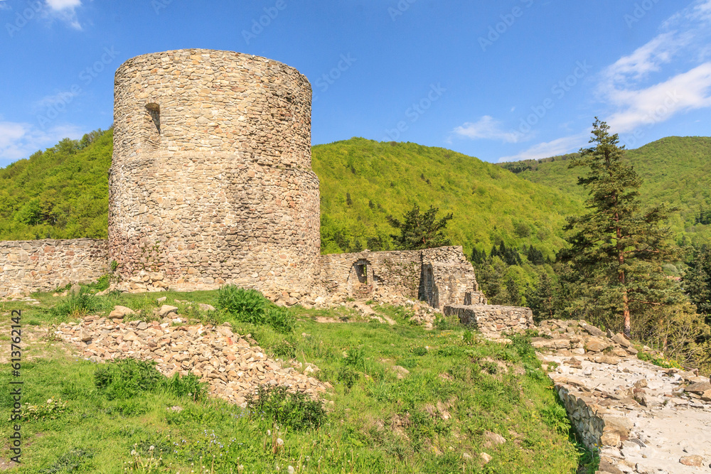 Ruins of the medieval castle in Rytro near Piwniczna-Zdrój in Beskid Sadecki, Poland
