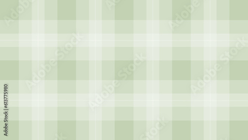 White and green plaid fabric texture