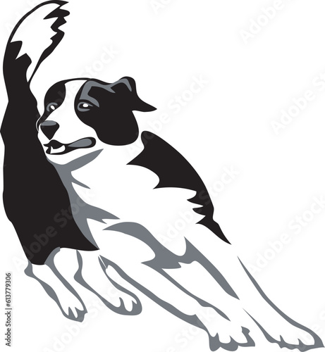 Agility - dog training weave poles