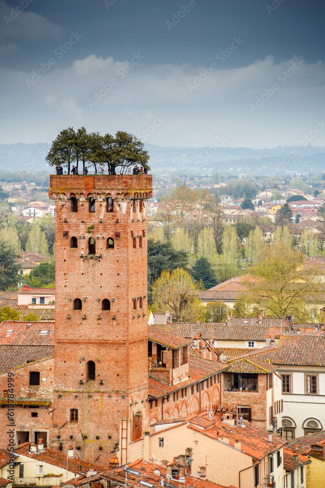 Guinigi tower in Lucca, Italy	