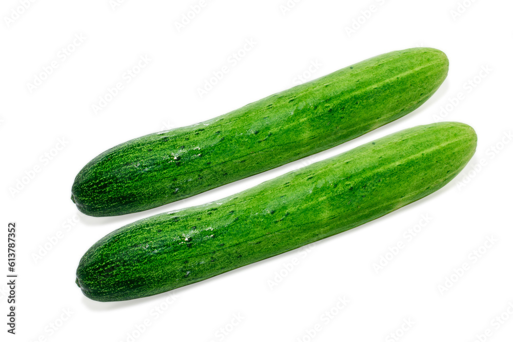 Cucumber isolated on white background, fresh cucumbers Cucumber isolated on white background, fresh cucumbers