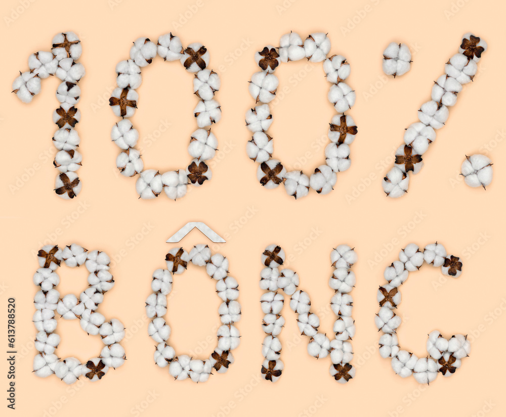 Lettering 100% bong from Vietnamese language means cotton, made of cotton flowers. Concept of organic raw material. Lettering 100% bong from Vietnamese language means cotton, made of cotton flowers. Concept of organic raw material.
