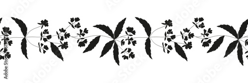 Botanical silhouettes in ink. Horizontal border of madder dye, flowers, leaves. Medicinal herbs.