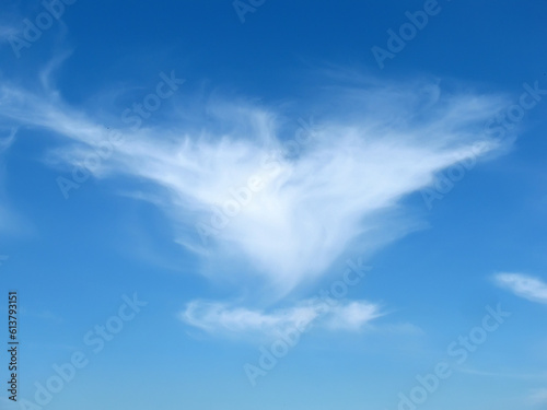 Wings shape cloud