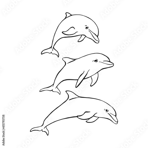Set of dolphin. Hand drawn illustration converted to vector. Vector with animal underwater.