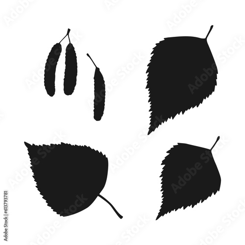 Set with silhouette birch leaf. Hand drawn autumn vector illustration.