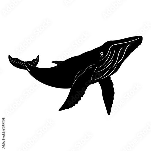 silhouette of a whale