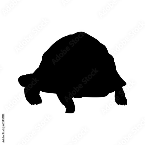 Walking Radiated Tortoise Silhouette. Good To Use For Element Print Book, Animal Book and Animal Content